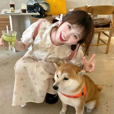 我的青春也灿烂