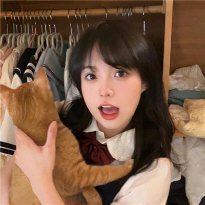 猫咪不跳舞