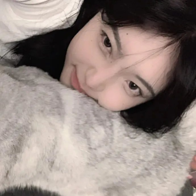 疯狂的狮王